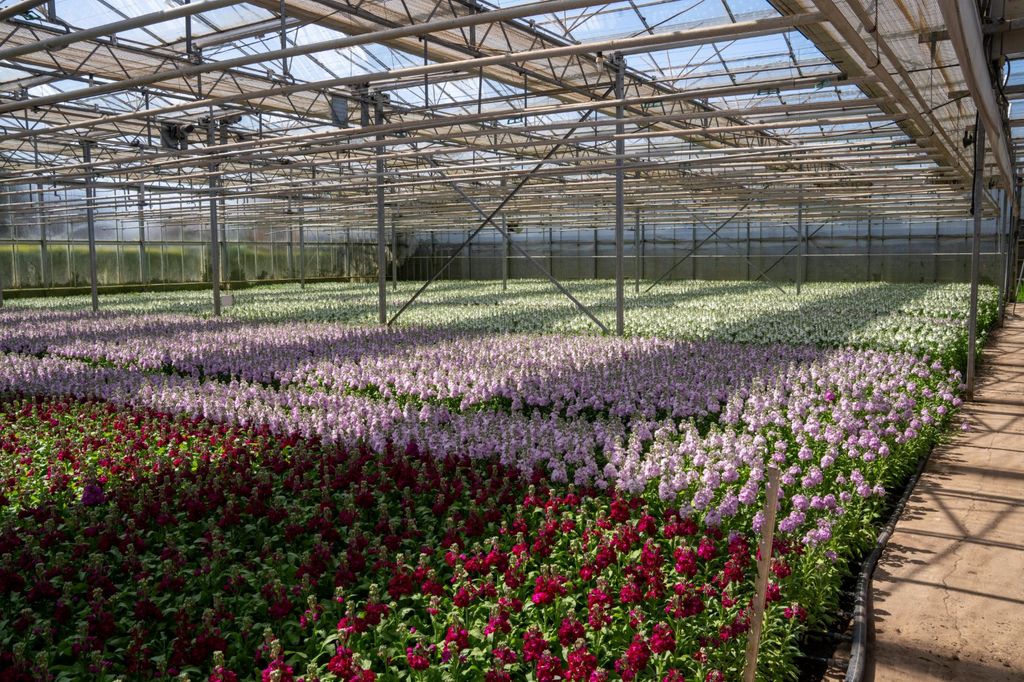 Property photo 2 of 11 Picture No. 08