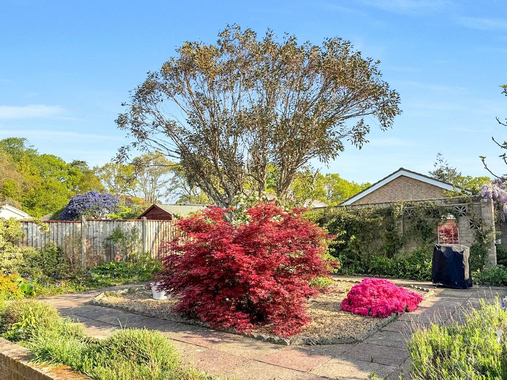 Property photo 3 of 17 Rear Garden