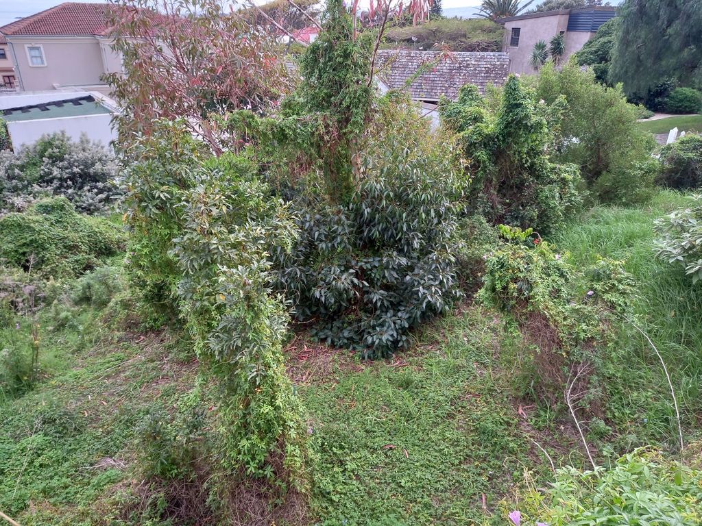 Property photo 2 of 4 Sw1534302