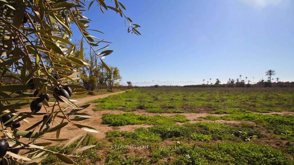 Property photo 1 of 7 Land For Sale In Marrakech - Kensingtonmorocco.Com