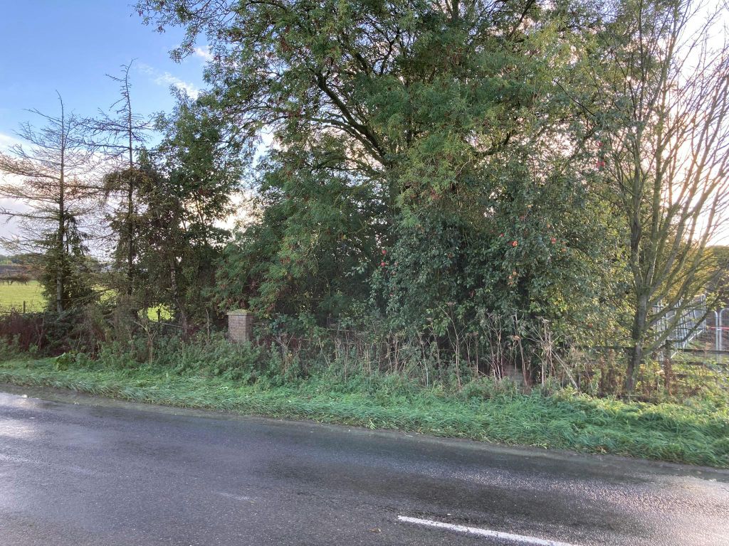 Property photo 3 of 6 Image 3