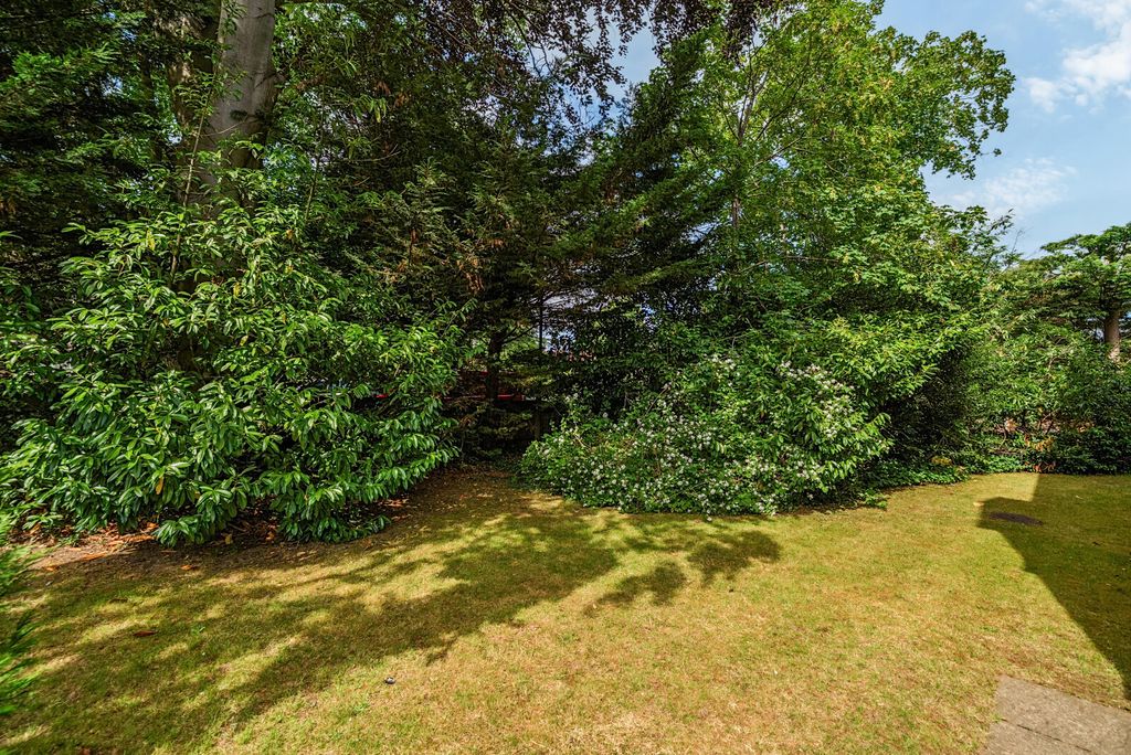 Property photo 2 of 12 1479761-1-6A3114A...