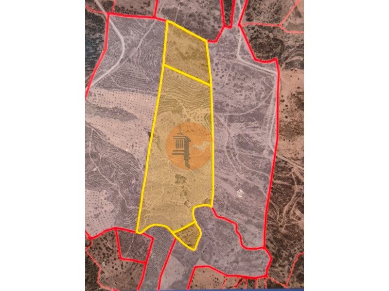 Property photo 2 of 87