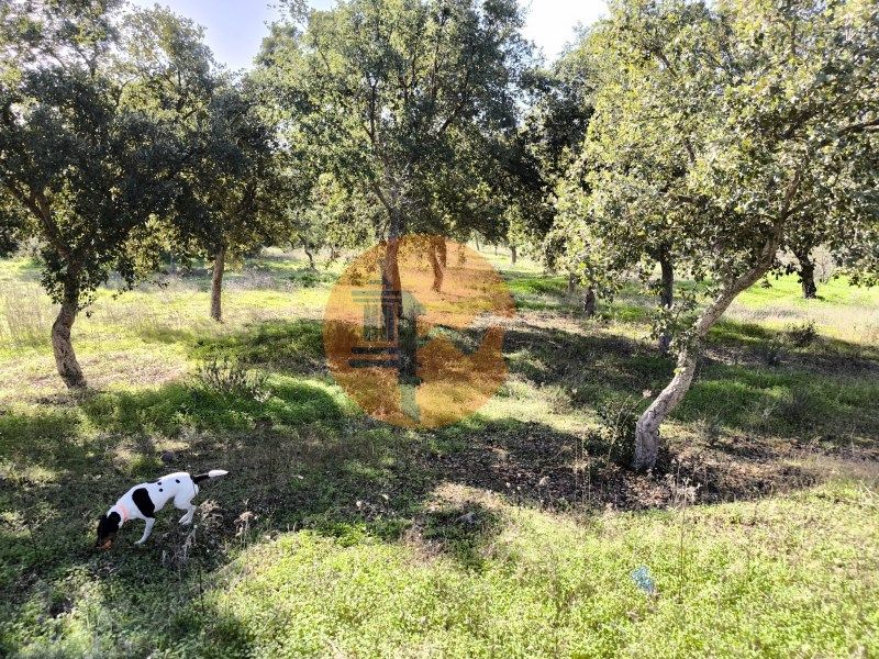 Property photo 1 of 50