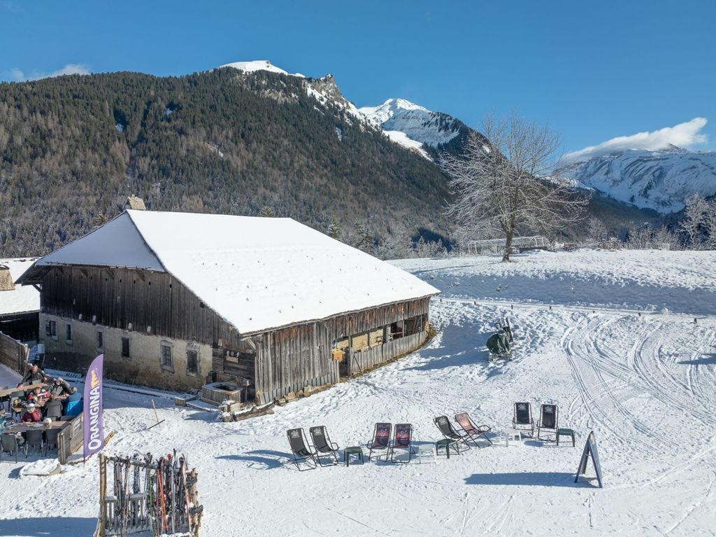 Property photo 1 of 10 Morzine Apartment Fo