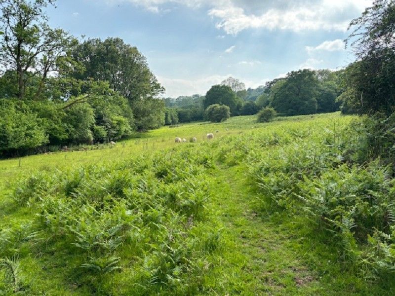 Additional image 4 of Land for saleBwlch, Brecon, Powys. LD3