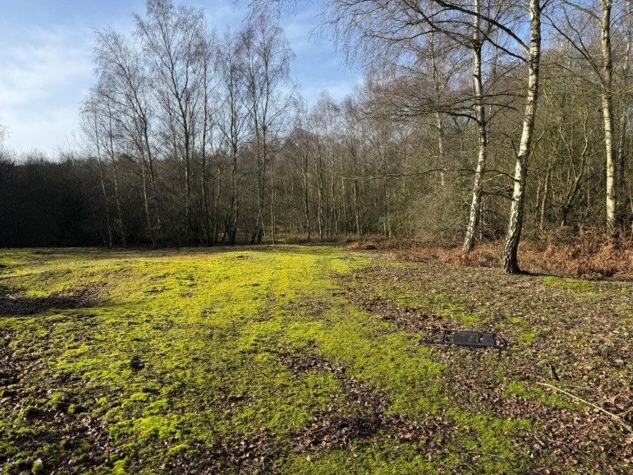 Property photo 3 of 6