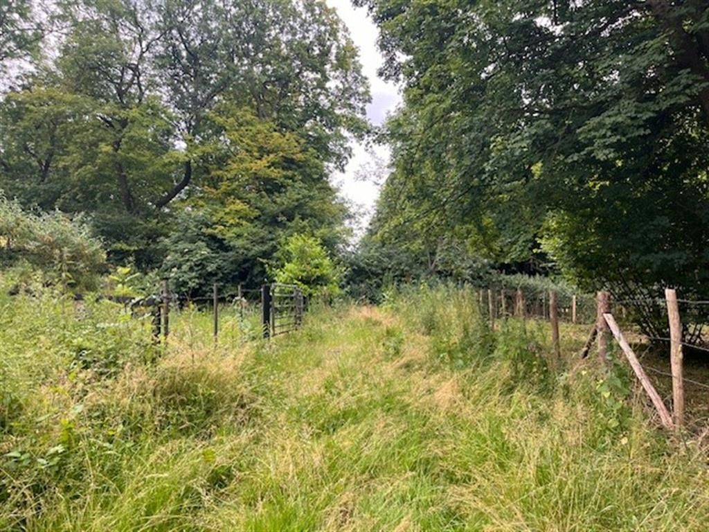 Property photo 3 of 6 Land