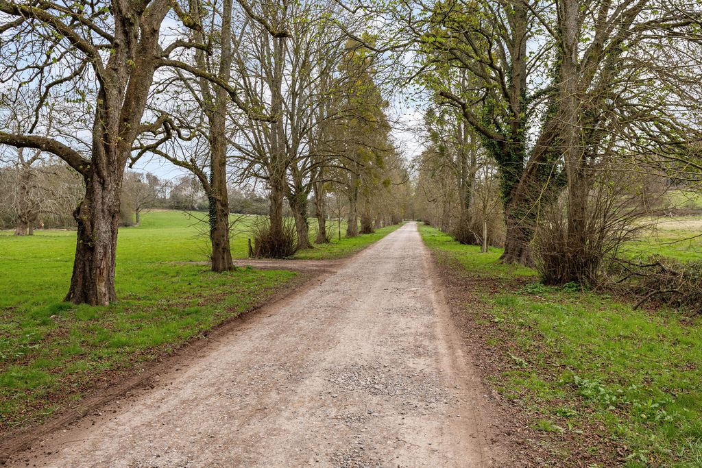 Property photo 3 of 22