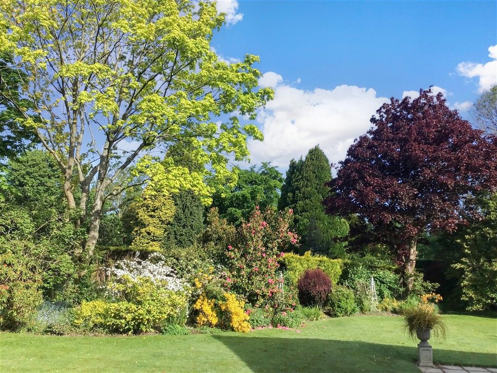 Property photo 3 of 30 Rear Garden