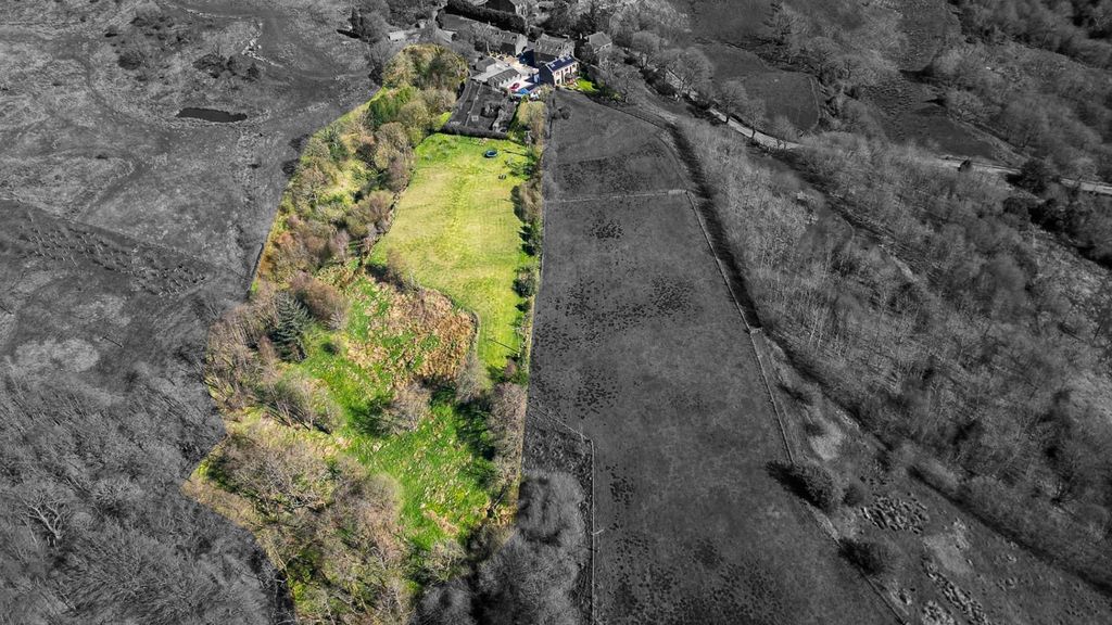 Property photo 3 of 74 4703424