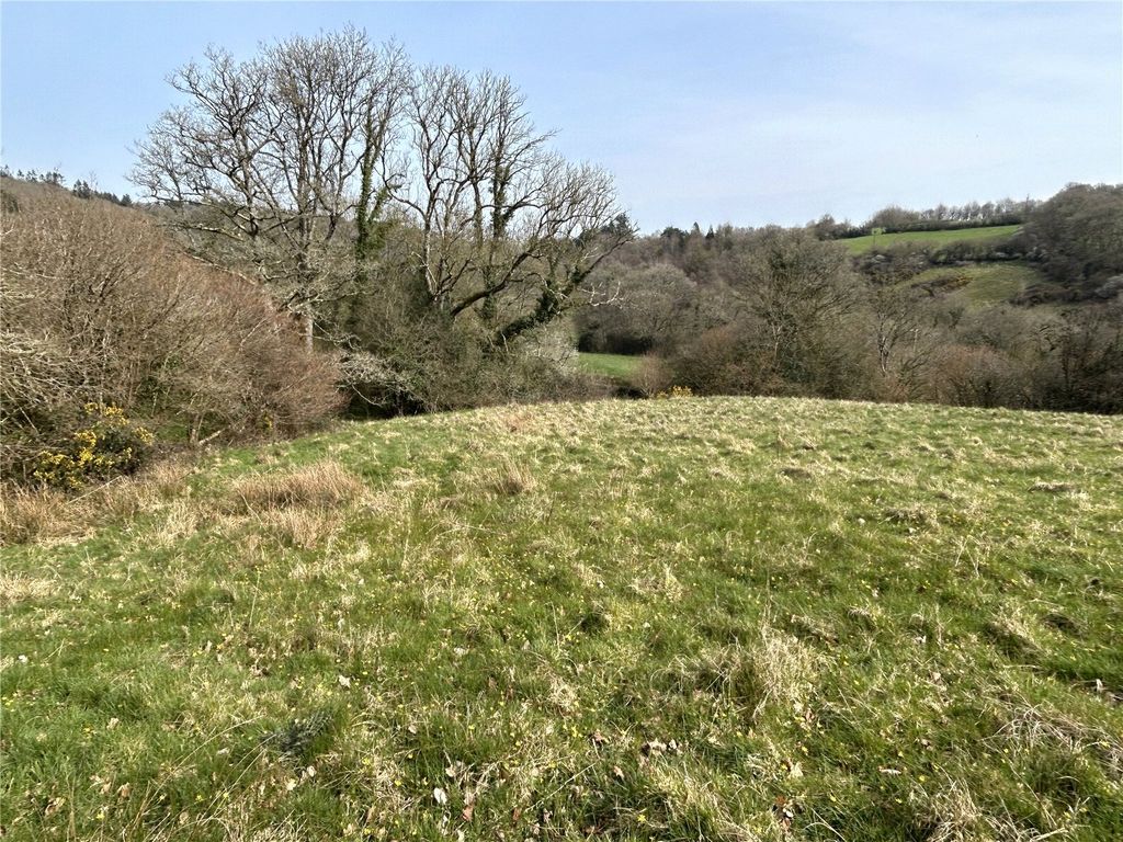 Additional image 7 of Land for saleHollocombe, Chulmleigh, Devon EX18