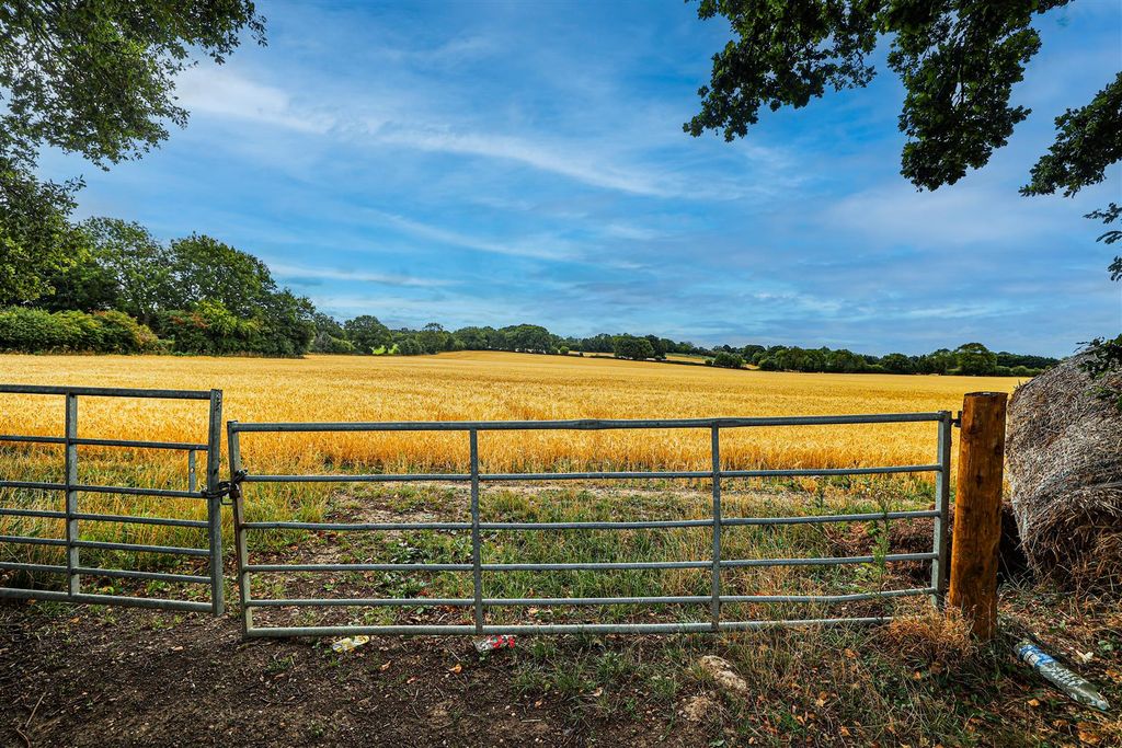 Property photo 1 of 6 980A0243.Png