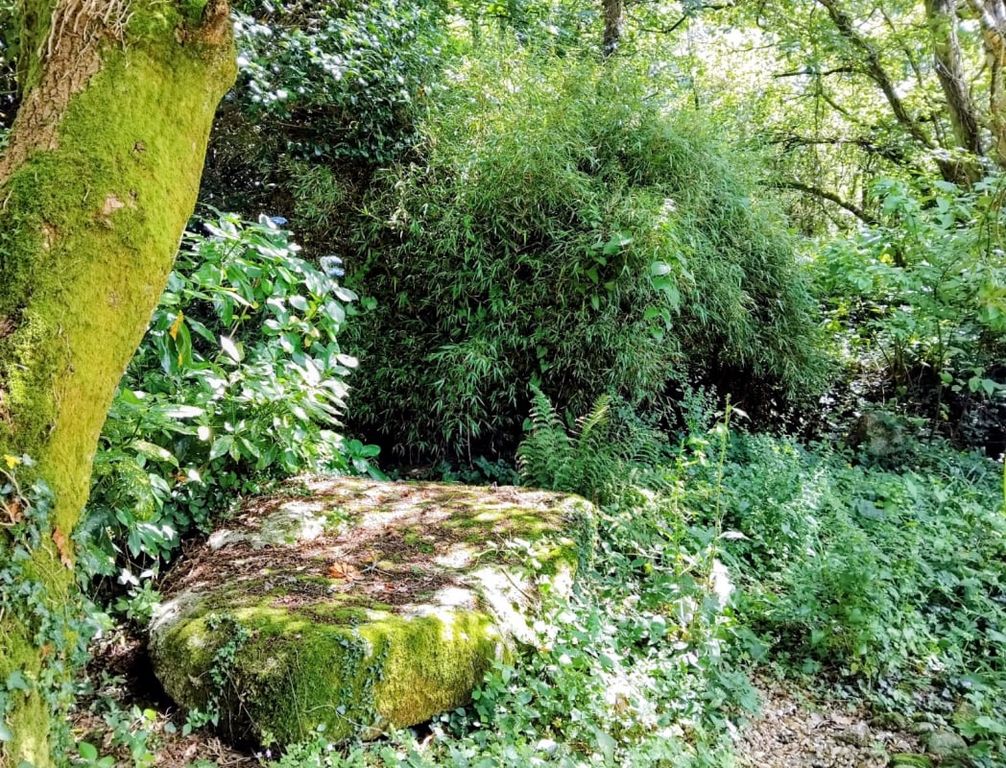 Property photo 3 of 27