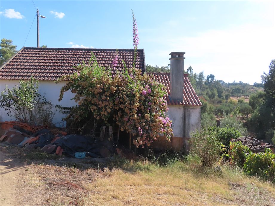 Property photo 2 of 37