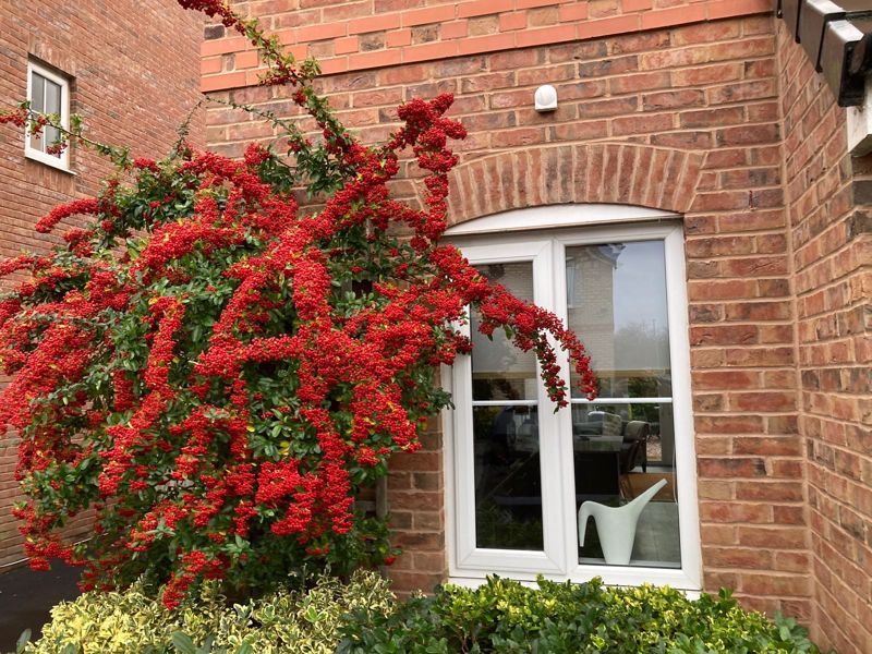 Property photo 2 of 22 Front