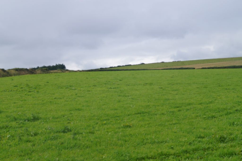 Additional image 8 of Land for saleTagarreg, Llandysul, 4EU SA44