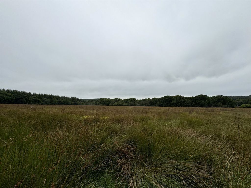 Property photo 3 of 17 Picture No. 09