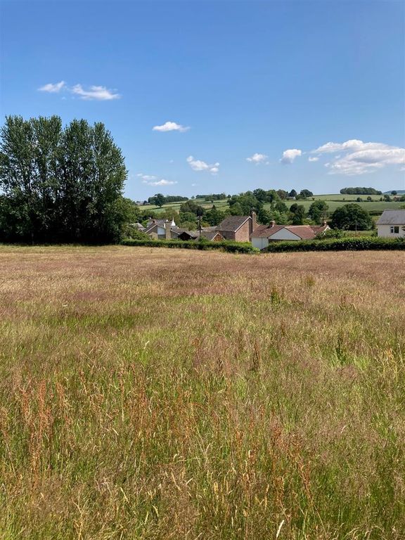 Property photo 3 of 6 10 Ac 4.Jpg