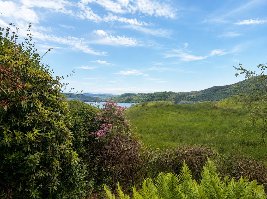 Property photo 2 of 52