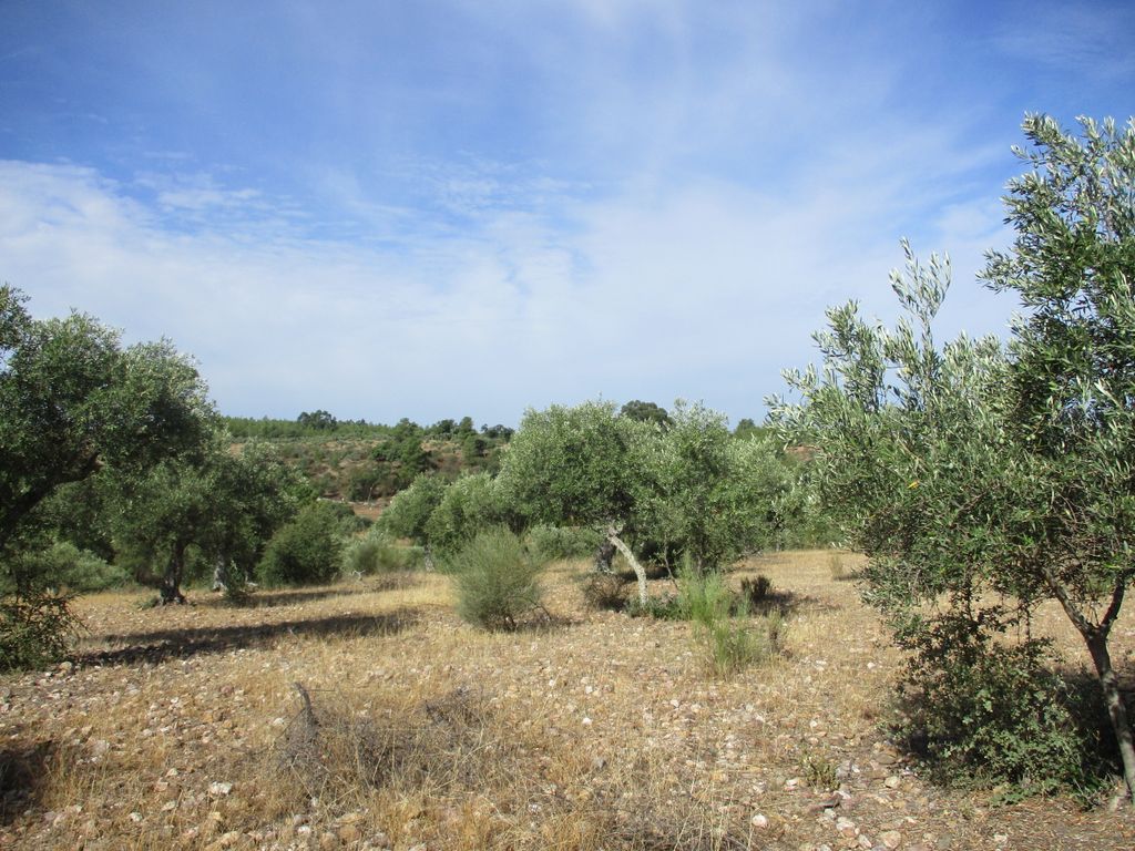 Property photo 3 of 10