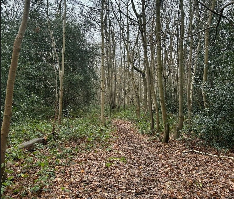 Property photo 3 of 5 Photo 5