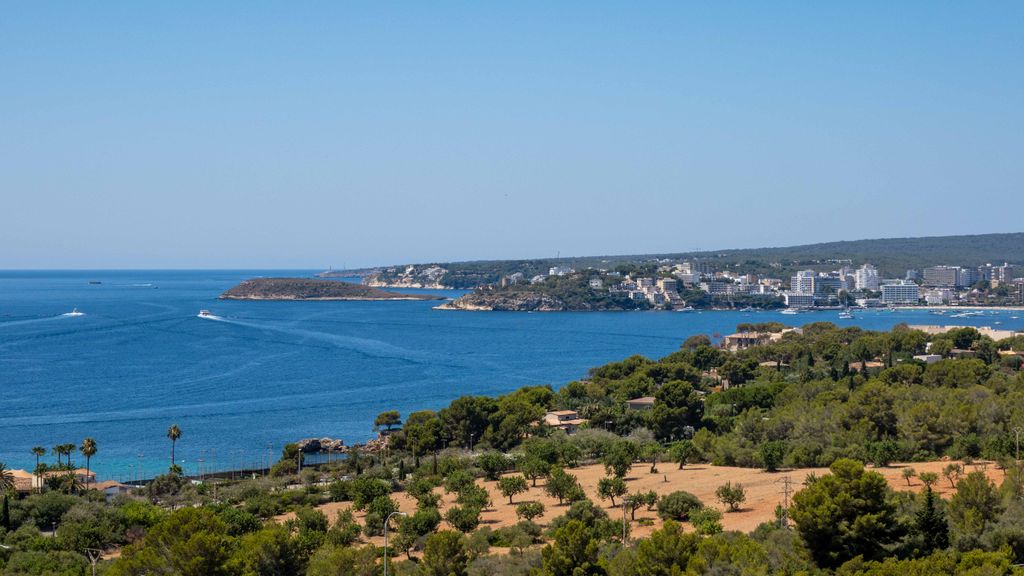 Property photo 2 of 6 002 81935 Small-2.Jpg