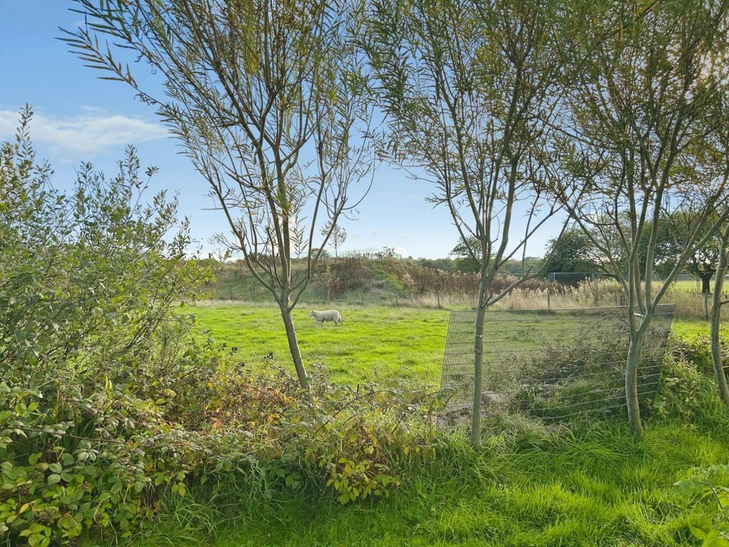 Property photo 2 of 17 Abbd7F9F-Image00003.Jpeg