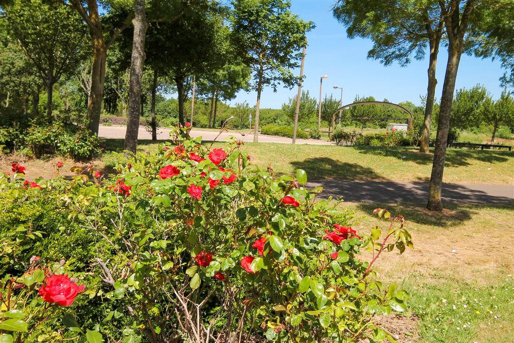 Property photo 3 of 20 Mid56.Jpg