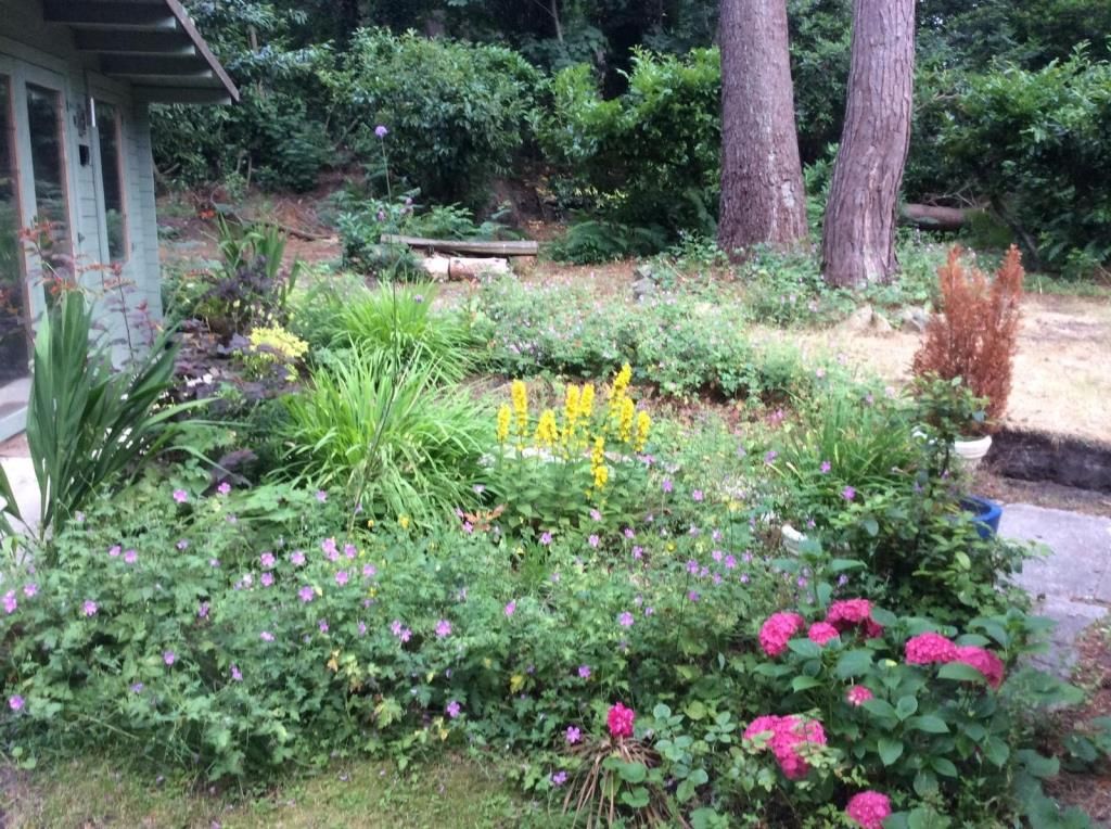 Property photo 3 of 8 Communal Garden