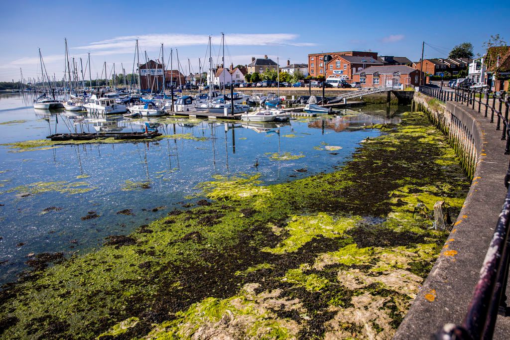 Property photo 2 of 8 Photo 7