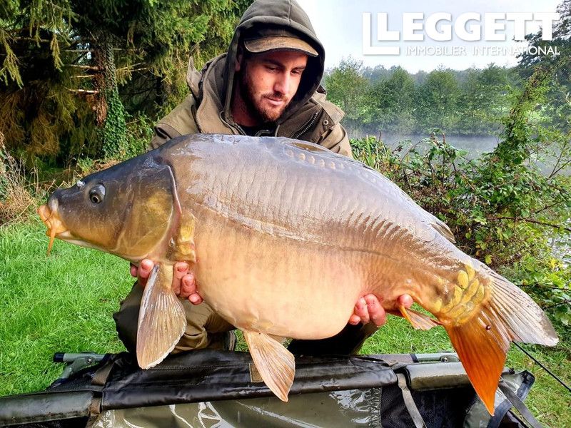 Property photo 2 of 10