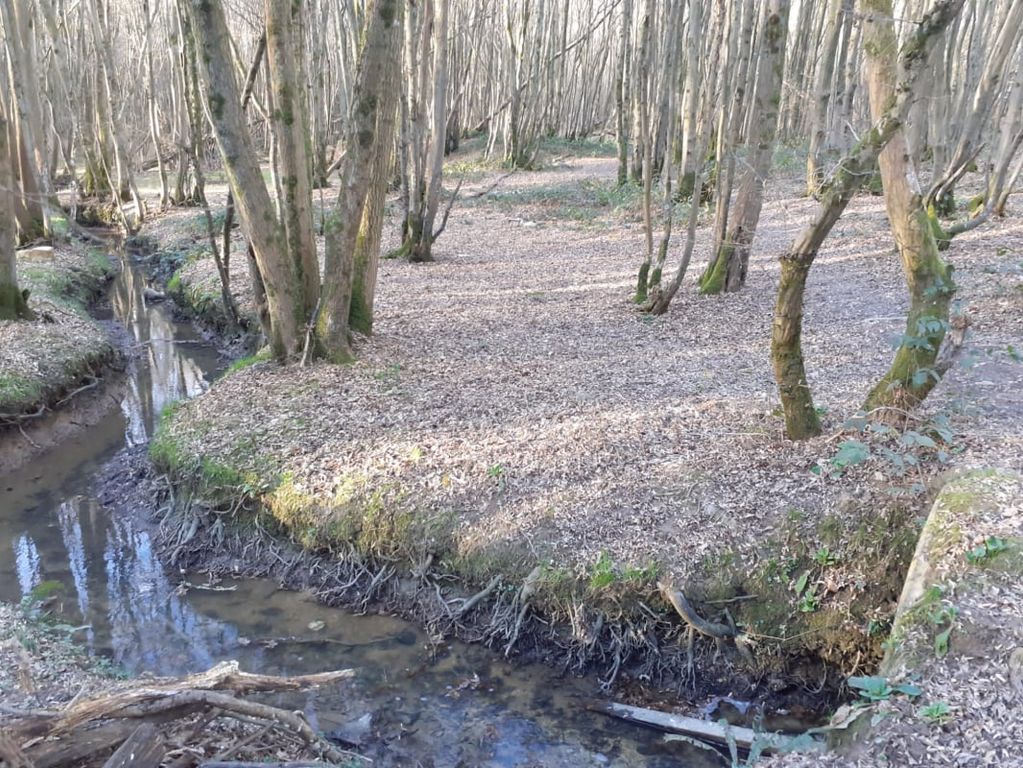 Property photo 3 of 7