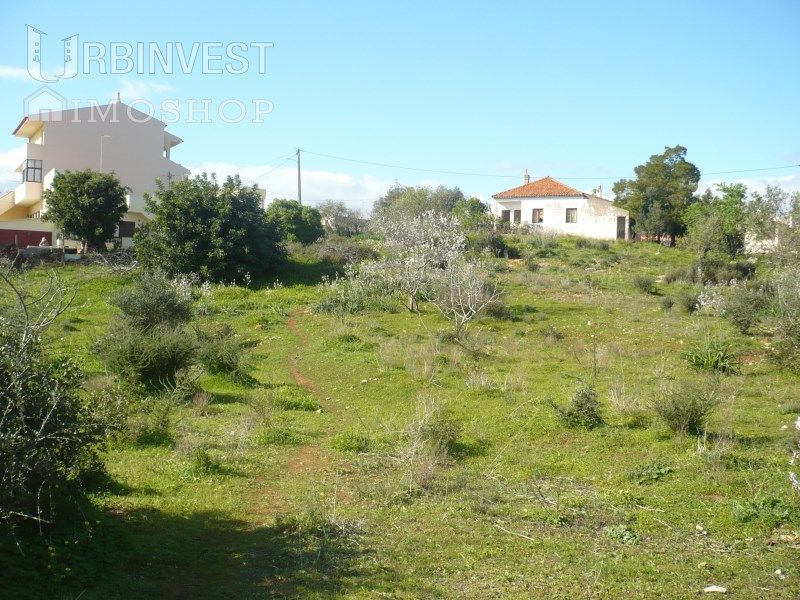 Property photo 3 of 25