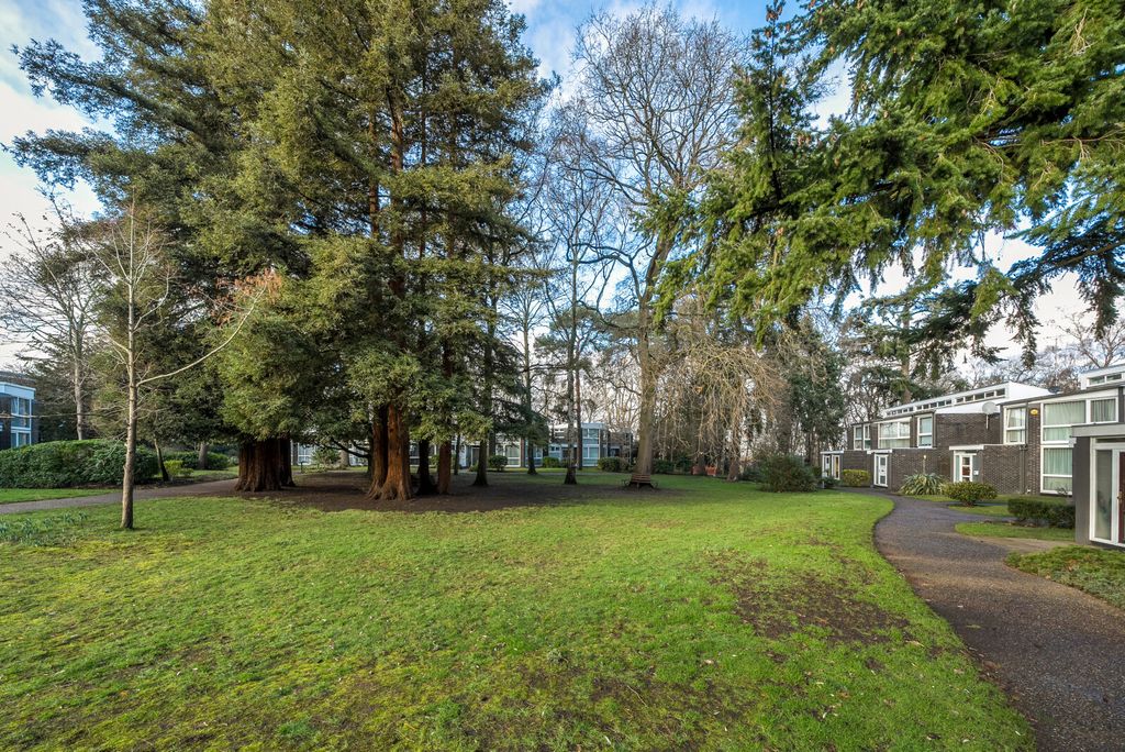 Property photo 2 of 19 1399964-1-696A490...