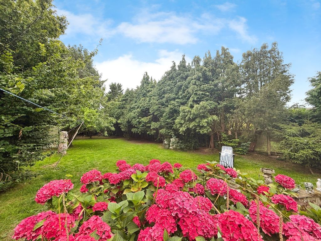 Property photo 3 of 17 Rear Garden