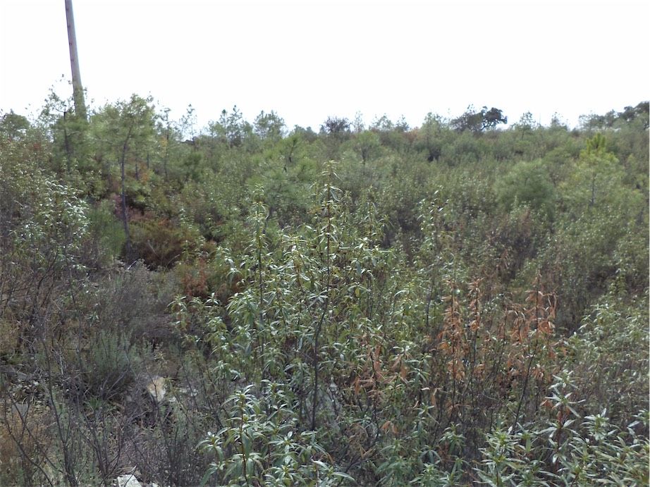 Property photo 3 of 21