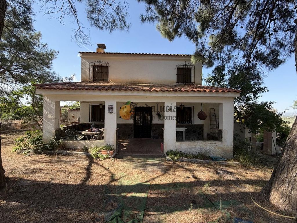 Property photo 1 of 54