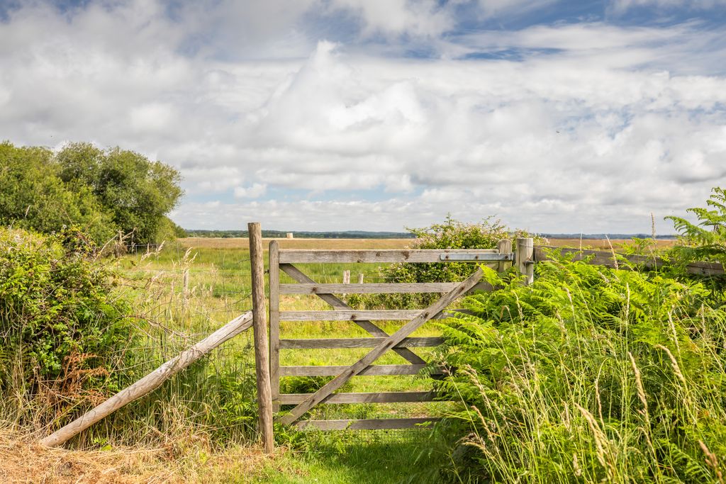 Additional image 33 of 4 bed country house to rentBarnhill Road, Ridge BH20