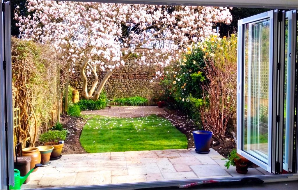 Property photo 2 of 2 2 Firefly Upscaler 2x Scale 2.Png