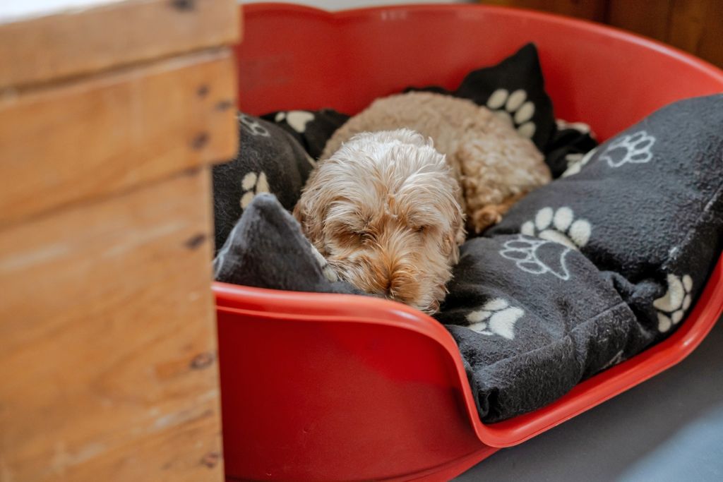 Additional image 23 of 3 bed flat to rentBristol Road, Cam, Dursley GL11