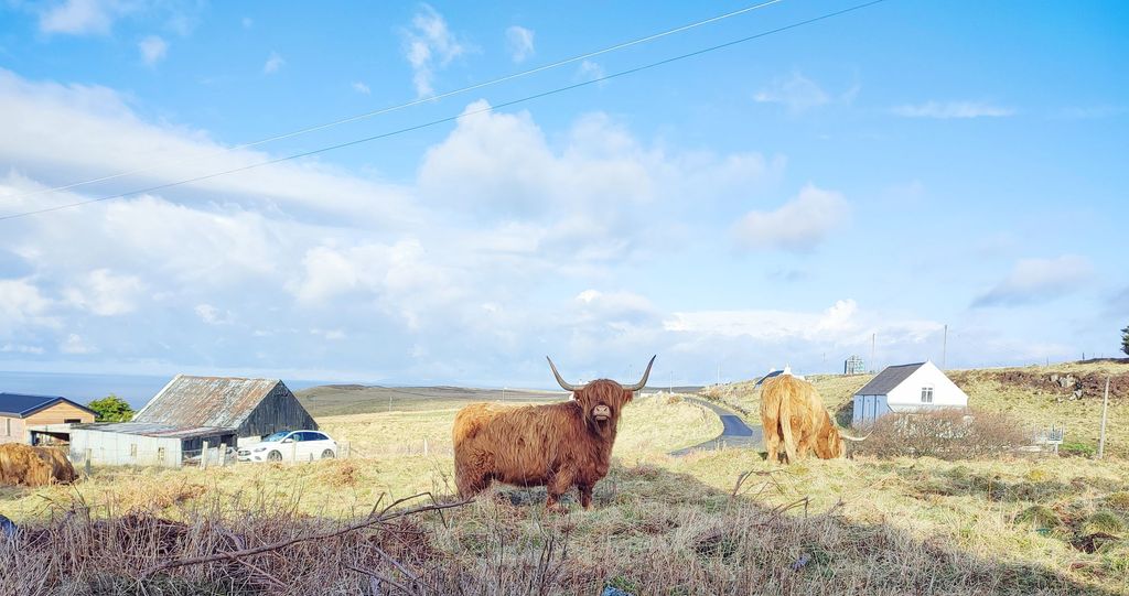 Additional image 45 of 3 bed cottage for saleHalistra, Waternish, Isle Of Skye IV55