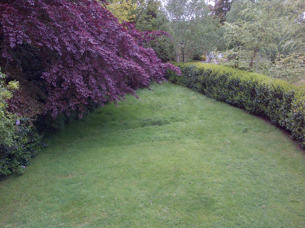 Property photo 2 of 6 Photo 1