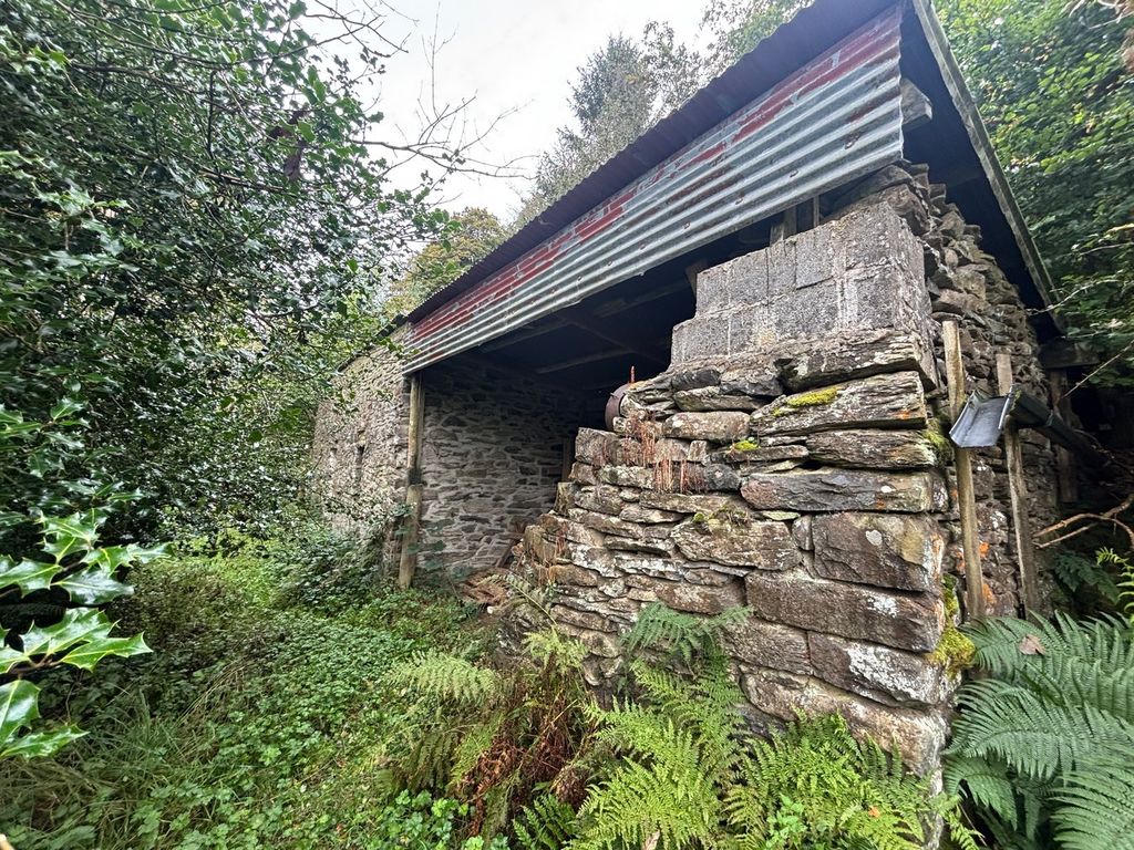 Additional image 20 of 4 bed farm for saleLlanddewi Brefi, Tregaron SY25