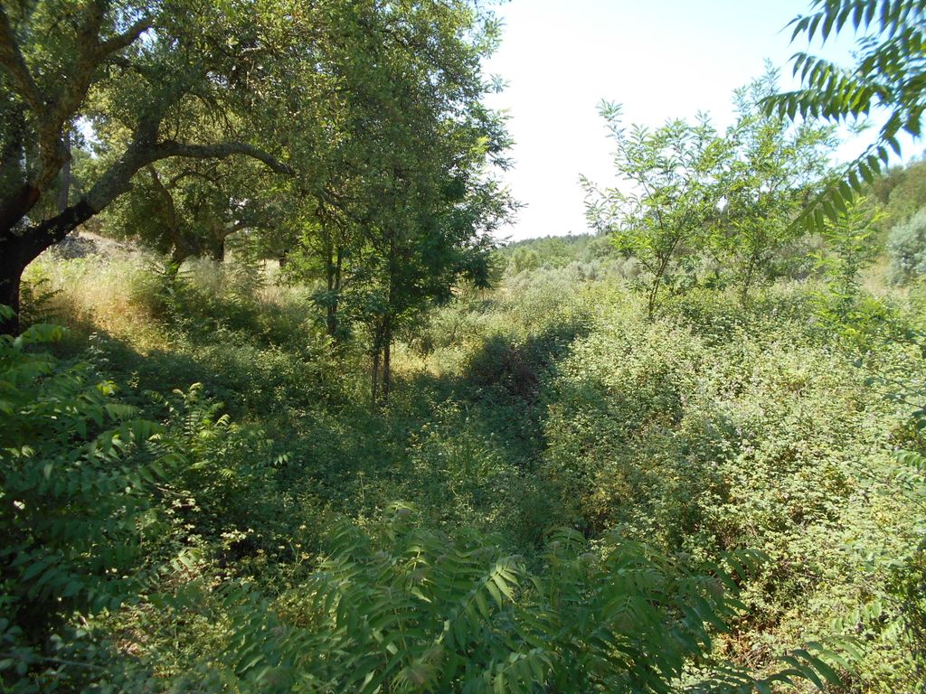 Property photo 2 of 4