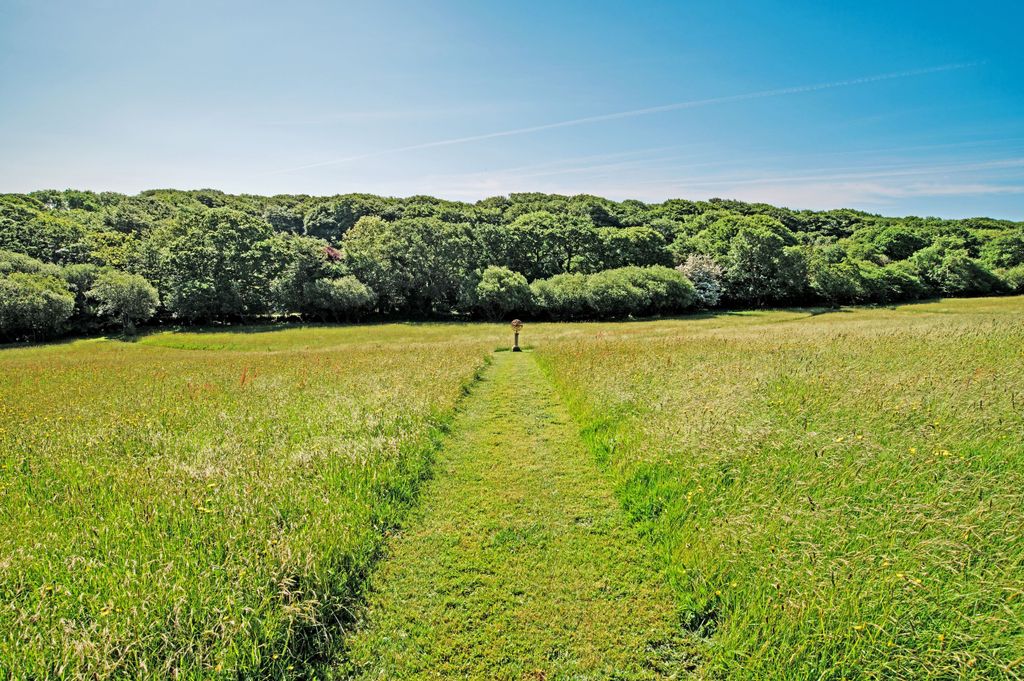 Property photo 3 of 24 Photo 3