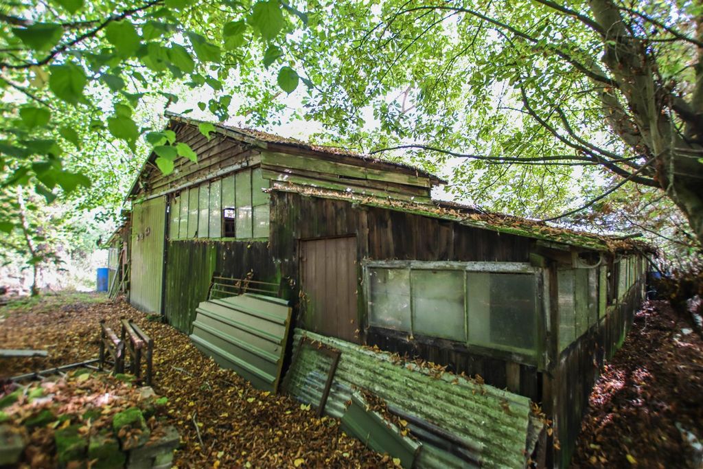 Property photo 2 of 31 Img_1206.Jpg