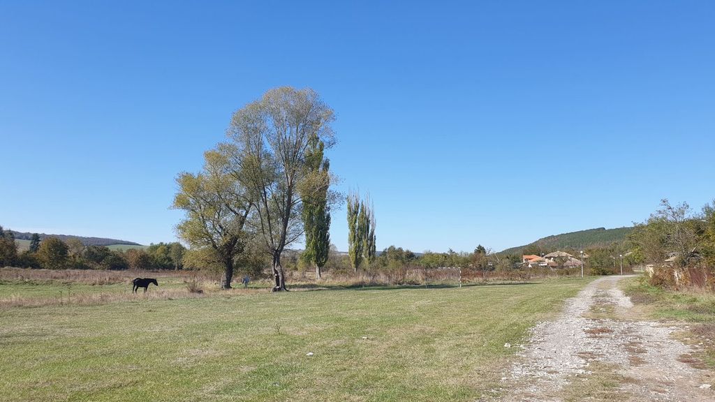 Property photo 3 of 43 Wide Grassy Field With Scattered Trees, A Horse Grazing, And A Dirt Path Leading To Houses In The Distance