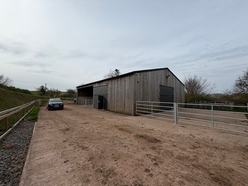 Property photo 3 of 16 Yard