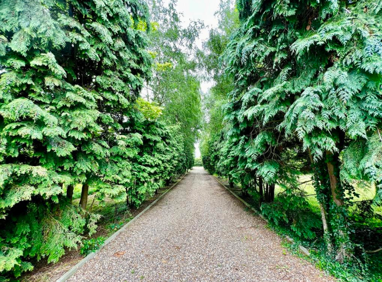 Property photo 3 of 4